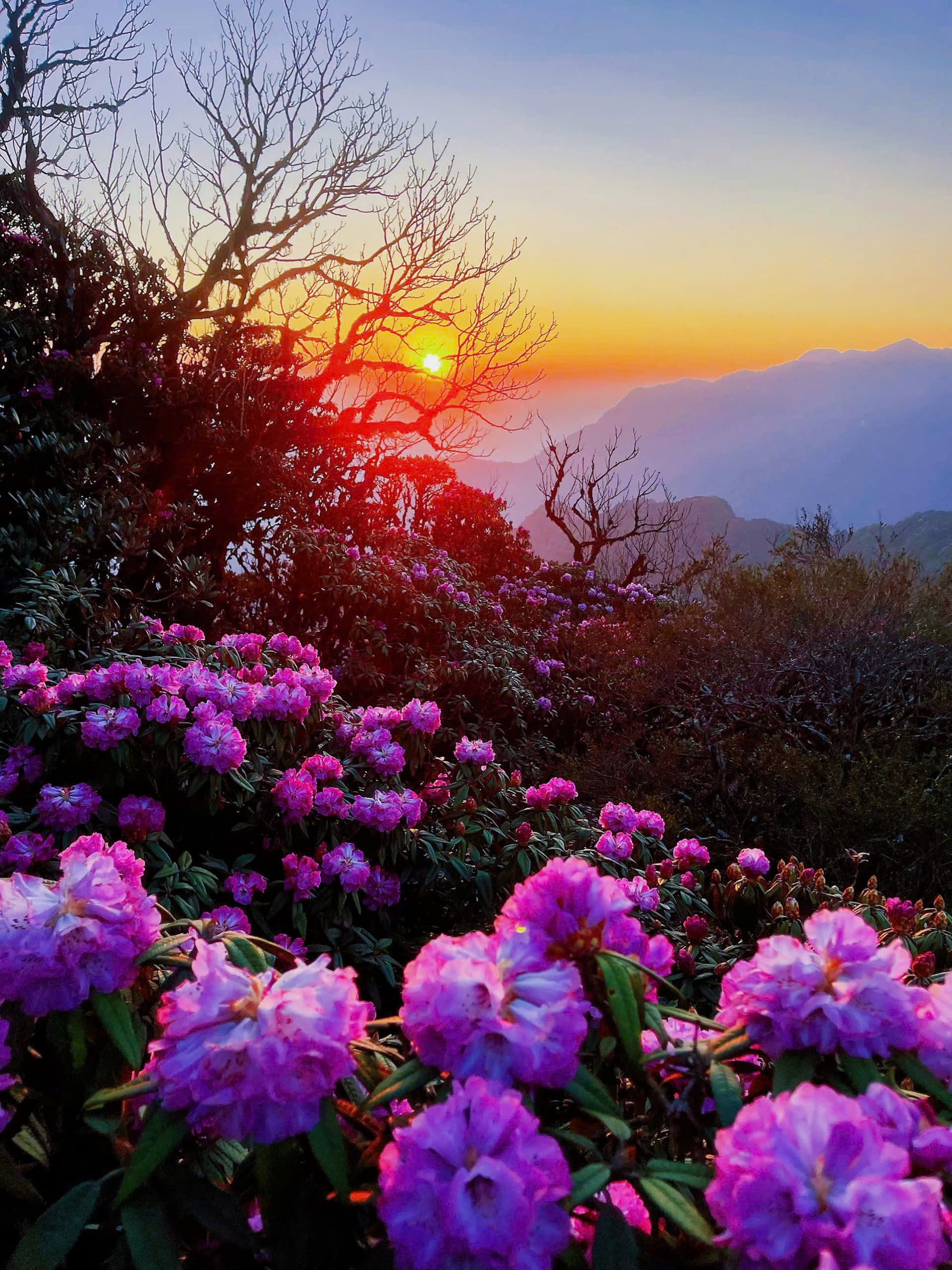 LAI CHAU – THE RISING STAR OF NORTHERN VIETNAM 